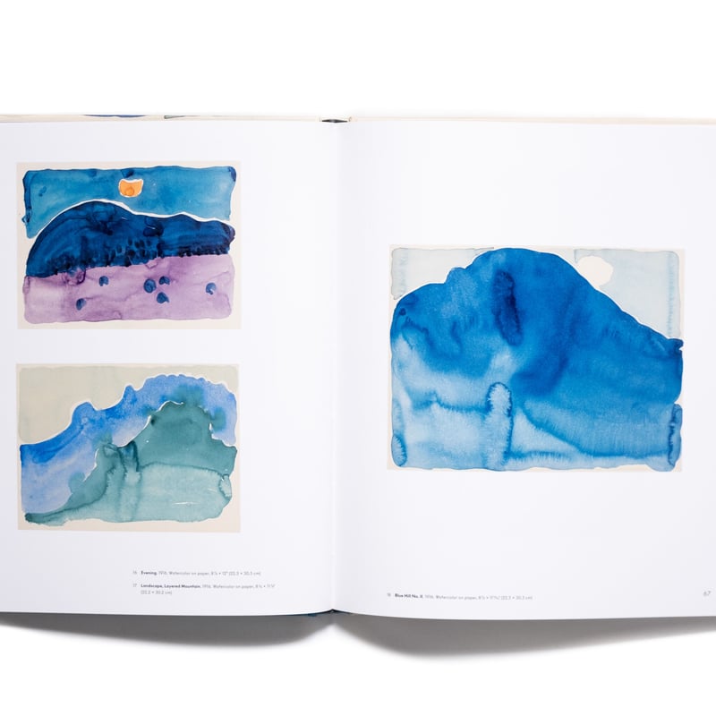 Georgia O'Keeffe: To See Takes Time | Art Book