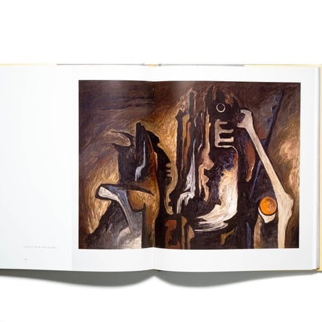 Clyfford Still: The Artist's Museum