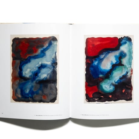 Georgia O'Keeffe: To See Takes Time