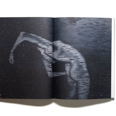 Julie van der Vaart: Blind Spot