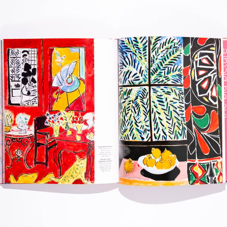 Matisse: The Bigger Picture