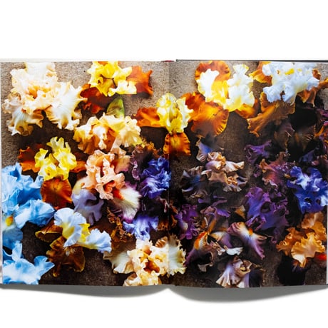 In Full Flower: Inspired Designs by Floral's New Creatives