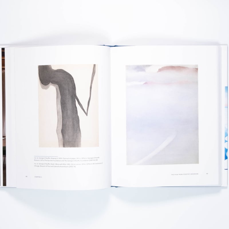 ia O'Keeffe アートブック Georgia O'Keeffe: The Late Work | Art Book Isku