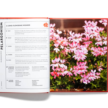 The Super Bloom Handbook
