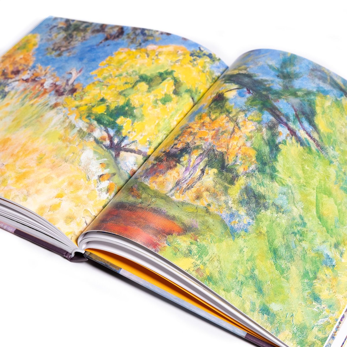ピエール・ボナール：記憶の中の色彩 | Art Book Iskusstvo