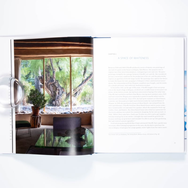 【レア】IA O'KEEFFE (Adam Biro) 作品集 Georgia O'Keeffe: The Late Work | Art Book Isku