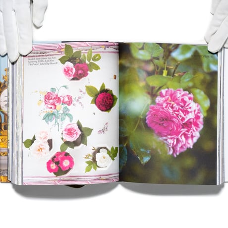 Prince Eugen's world of flowers and the Waldemarsudde flowerpot