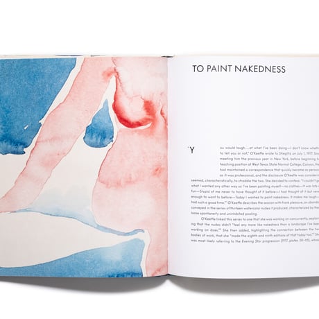 Georgia O'Keeffe: To See Takes Time