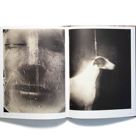 Cy Twombly Photographer, Friends and Others: Le Temps Retrouvé