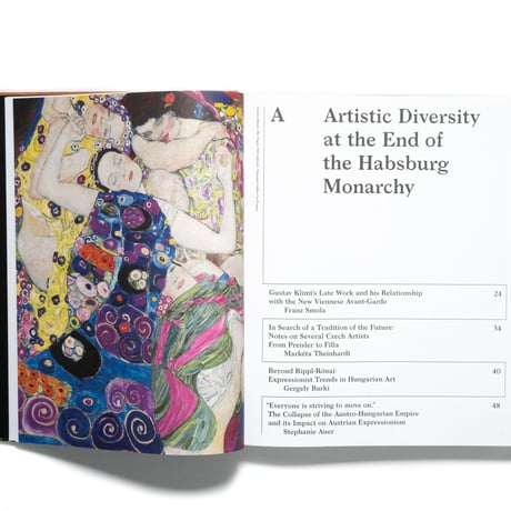 Beyond Klimt: New Horizons in Central Europe