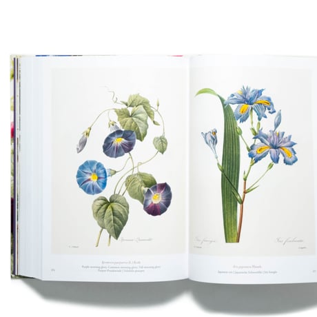 Redouté: The Book of Flowers. 40th Ed.