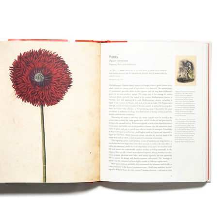 Remarkable Plants