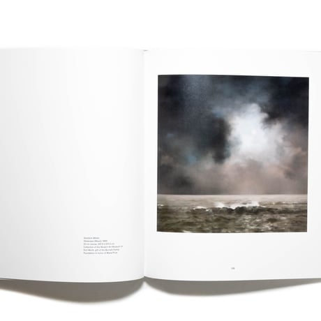 Gerhard Richter : Landscape