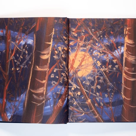 Ann Craven: Twelve Moons