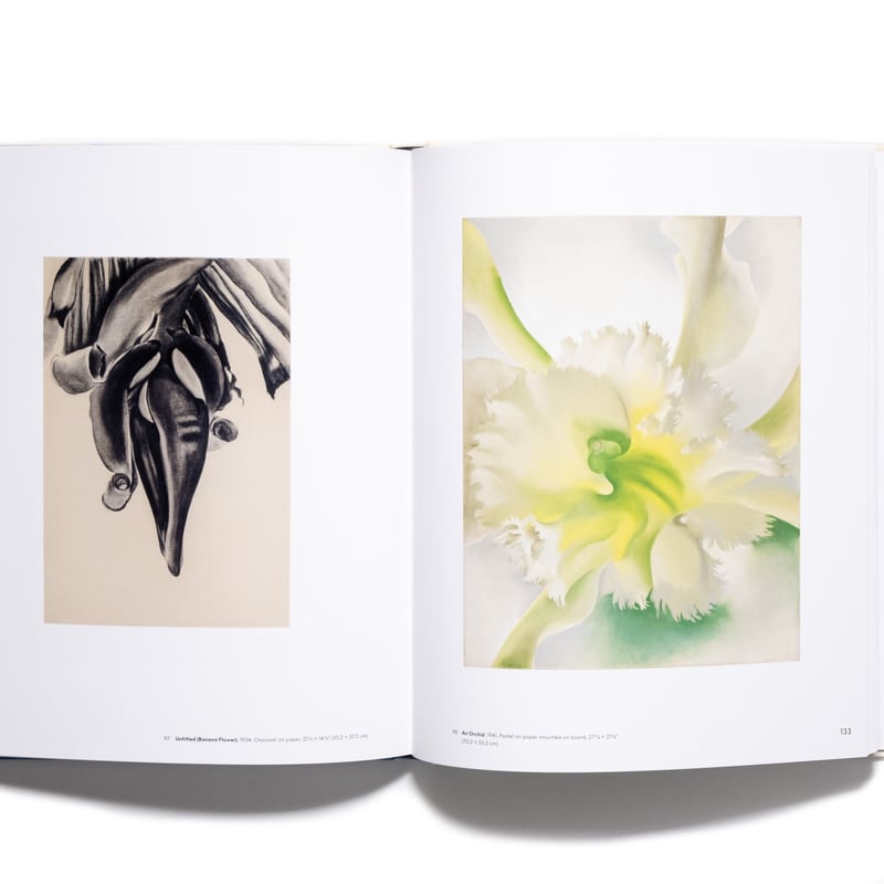 洋書 ia O'Keeffe Georgia O'Keeffe: To See Takes Time | Art Book