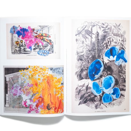Firelei Báez: Trust Memory over History