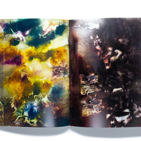 The Spirit of Painting. Cai Guo-Qiang at the Prado