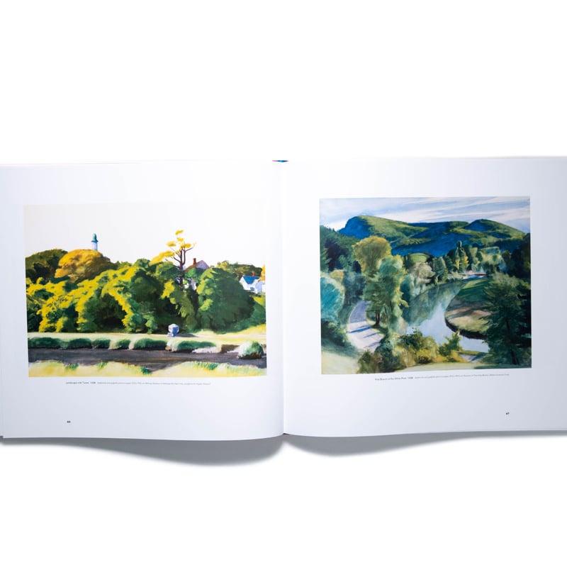 Edward Hopper 大判画集 Edward Hopper エドワード・ホッパーの大判画集。初期から晩年までの