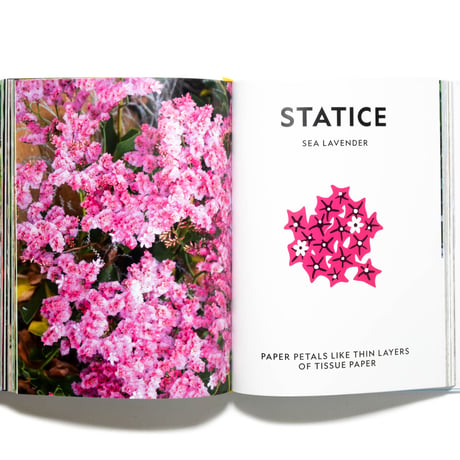Super Bloom: A Field Guide to Flowers for Every Gardener