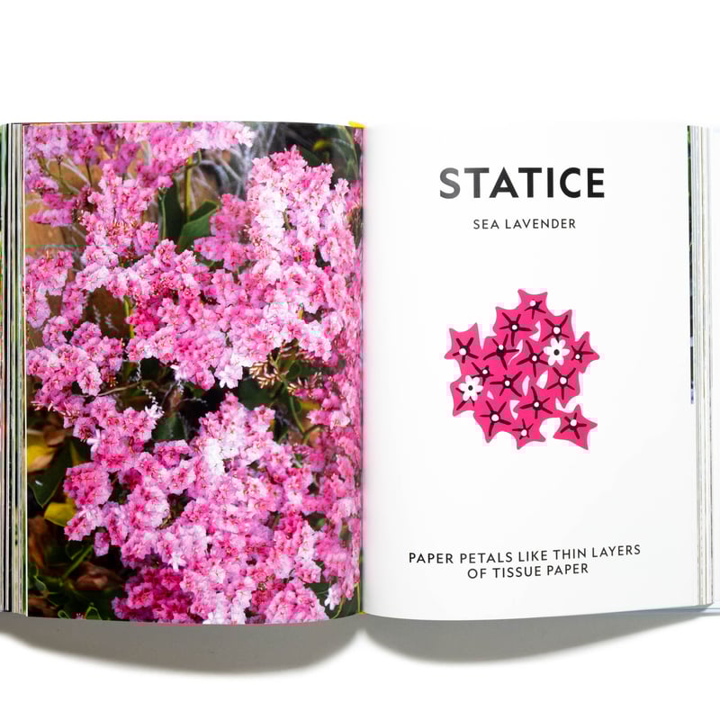 Super Bloom: A Field Guide to Flowers for Every