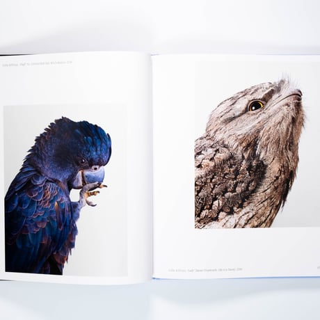 Aviary: The Bird in Contemporary Photography