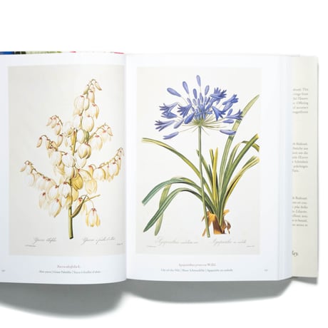 Redouté: The Book of Flowers. 40th Ed.
