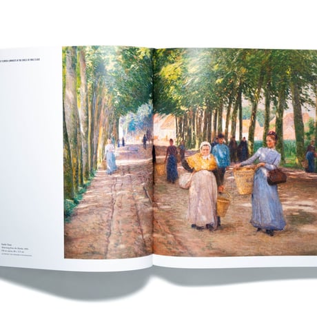 Coming Home: Flemish Art 1880-1930