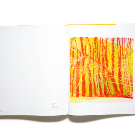 Wolf Kahn: Paintings and Pastels, 2010-2020