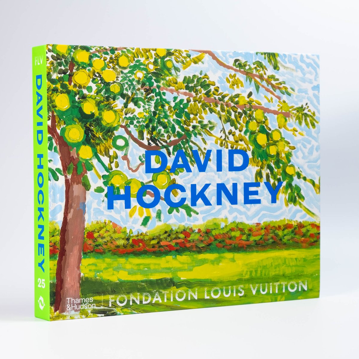 David Hockney | Art Book Iskusstvo