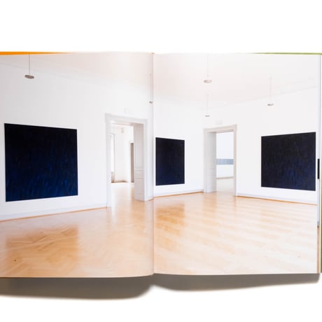 Marcia Hafif: The Inventory: Painting