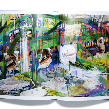 Sarah Sze: Fallen Sky