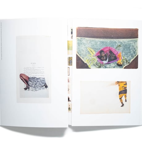 Firelei Báez: Trust Memory over History