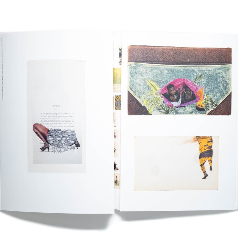Firelei Báez: Trust Memory over History | Art B