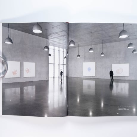 Roni Horn: Give Me Paradox or Give Me Death
