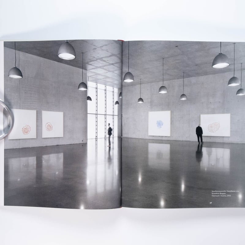 Roni Horn: Give Me Paradox or Give Me Death | A