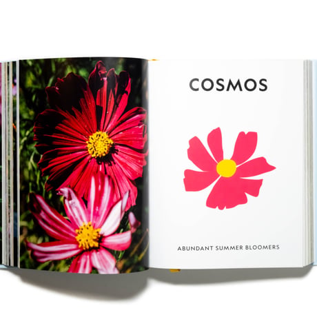 Super Bloom: A Field Guide to Flowers for Every Gardener