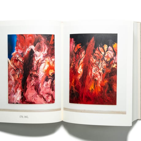 Anish Kapoor: Painting