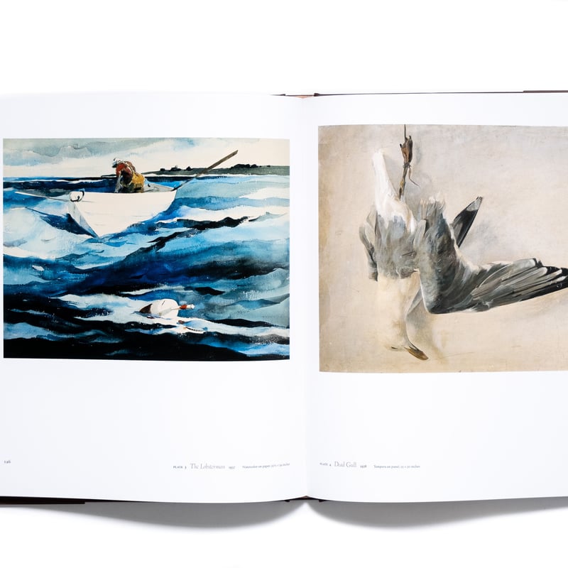 Andrew Wyeth: Memory and Magic | Art Book Iskus