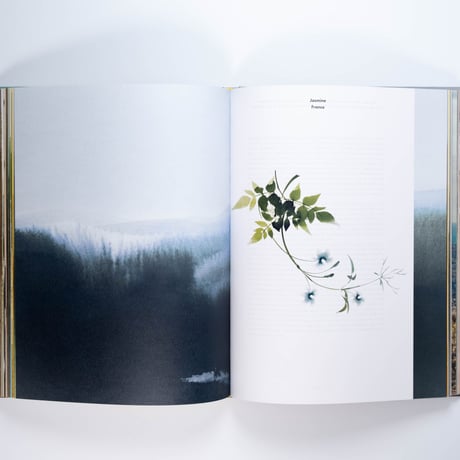 Louis Vuitton: A Perfume Atlas