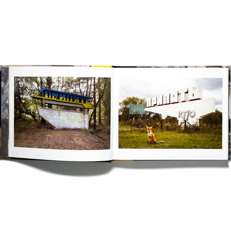 Chernobyl: A Stalkers' Guide