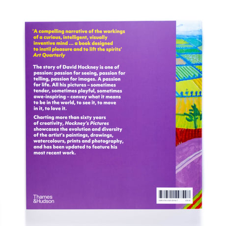 Hockney's Pictures