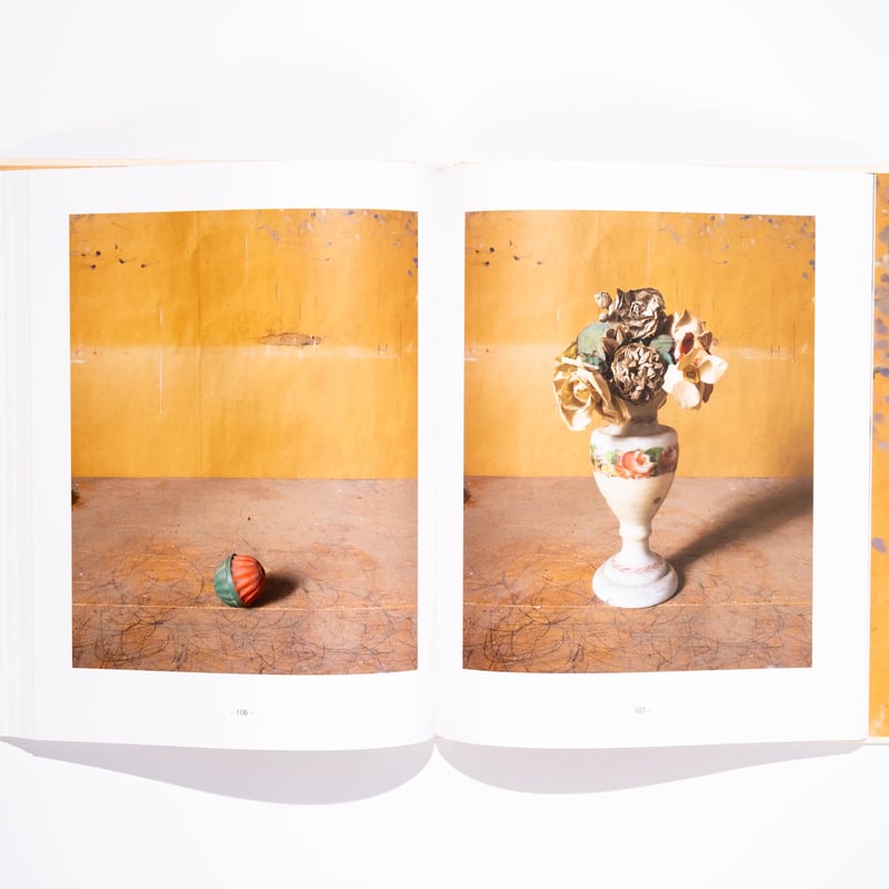 アート・デザイン・音楽 Joel Meyerowitz: Morandi's Objects Joel Meyerowitz: Morandi's Objects | Art Book I