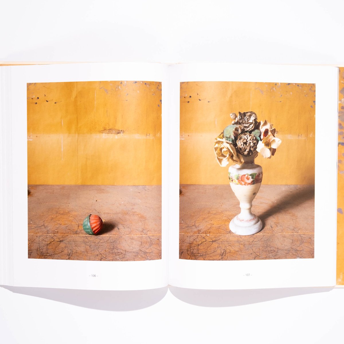 Joel Meyerowitz: Morandi's Objects | Art Book I
