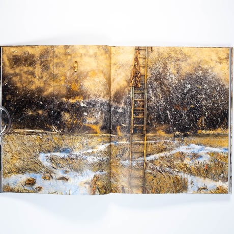 Anselm Kiefer: Palazzo Ducale Venice