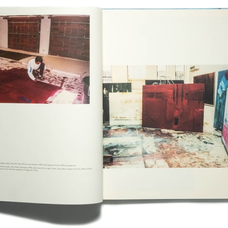 Helen Frankenthaler: Drawing within Nature, Paintings from the 1990s