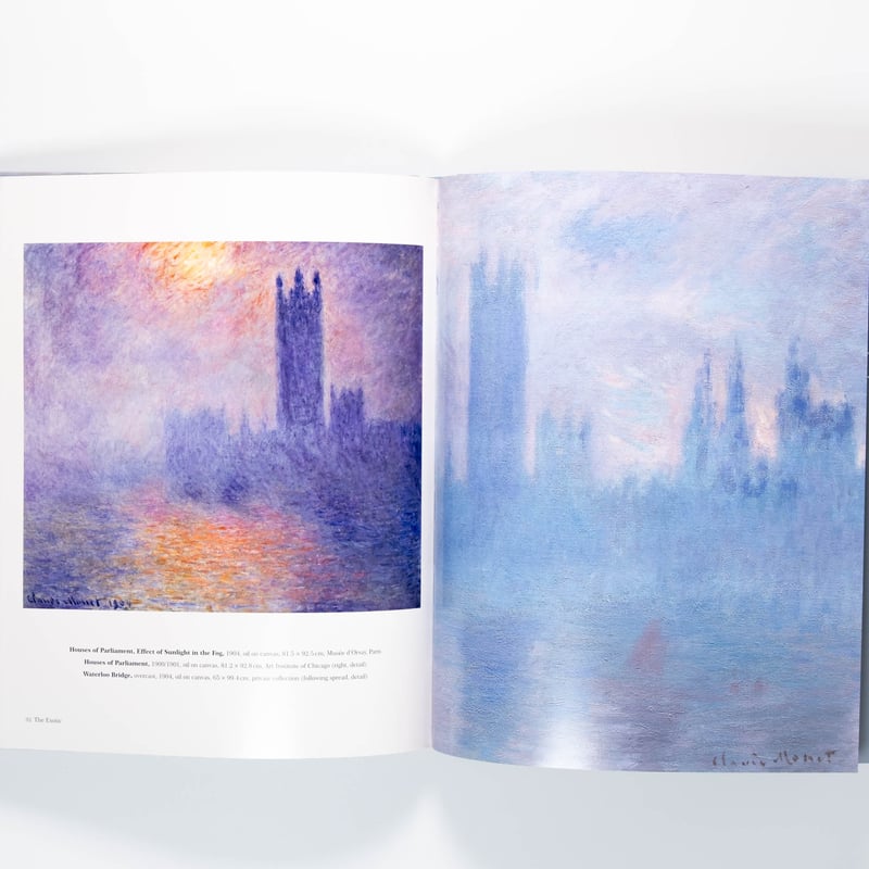 Monet: The Bigger Picture | Art Book Iskusstvo