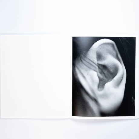 Benedetta Casagrande - All Things Laid Dormant