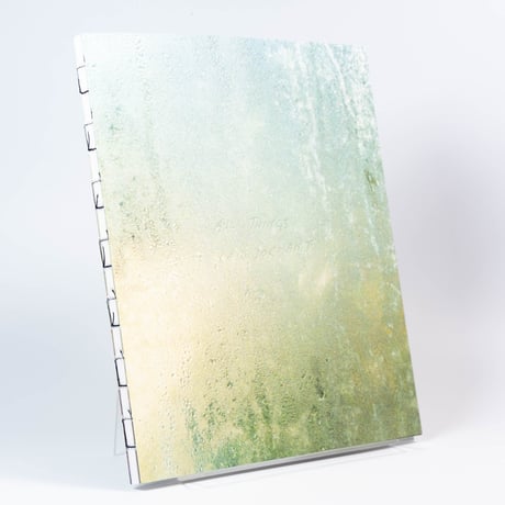 Benedetta Casagrande - All Things Laid Dormant