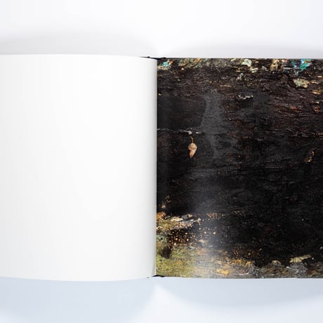 Anselm Kiefer: Für Andrea Emo