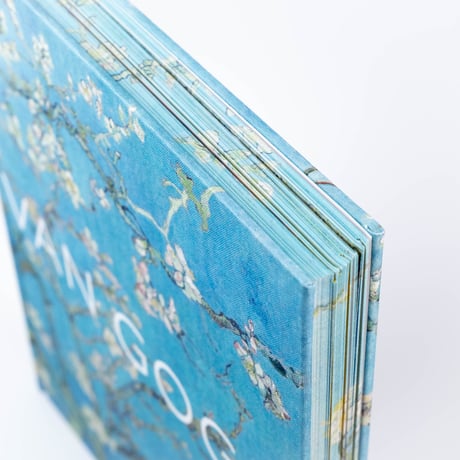 Van Gogh: The Bigger Picture